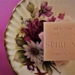 Sustainable Hotel Toiletries / Hotel Shampoo Bars